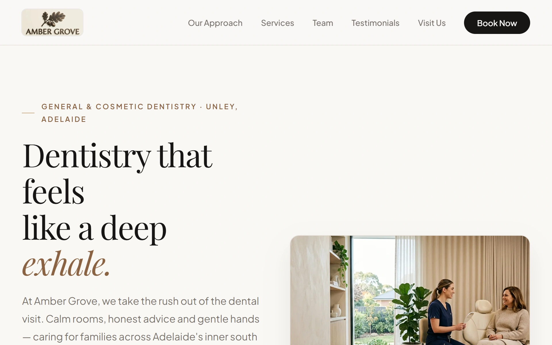 Amber Grove Dental Practice live preview